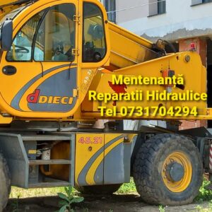 Mentenanță / Reparatii DIECI