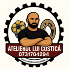 ATELIERUL LUI COSTICA 1 1 1