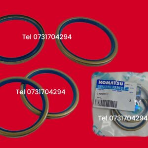 CA0120717 CARRARO