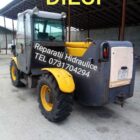 Dieci