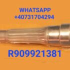 R909921381 R909431448