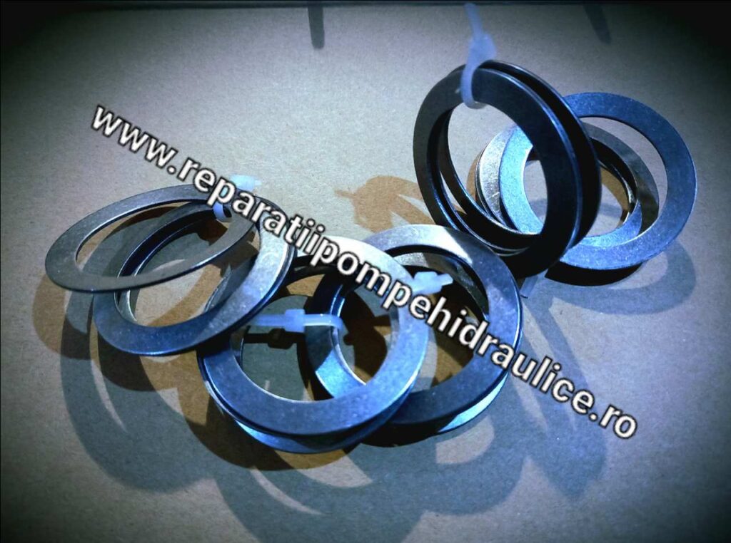 Set arcuri disc Brueninghaus R902192959