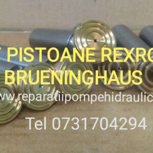 Piston cu patină Rexroth R909416736
