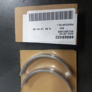Bosch Rexroth R913051689 — pereche de semicuzineți